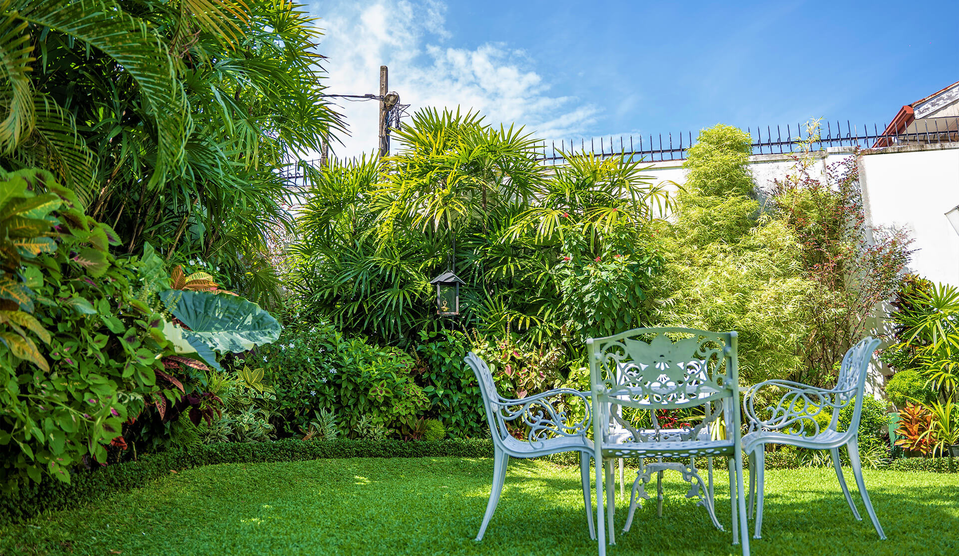 A home garden with lush green bushes, a lawn and garden chairs