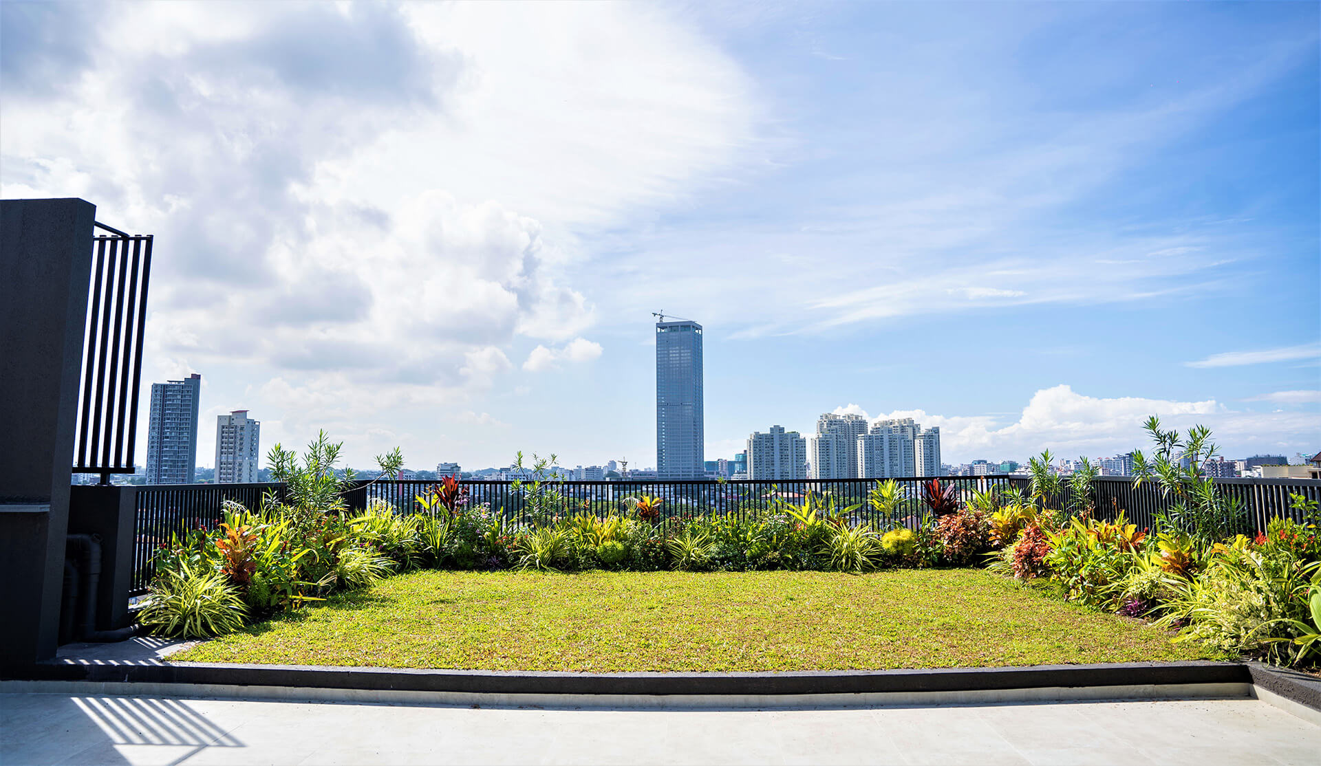 Residential – Apartment Rooftop Garden under the blue city sky
