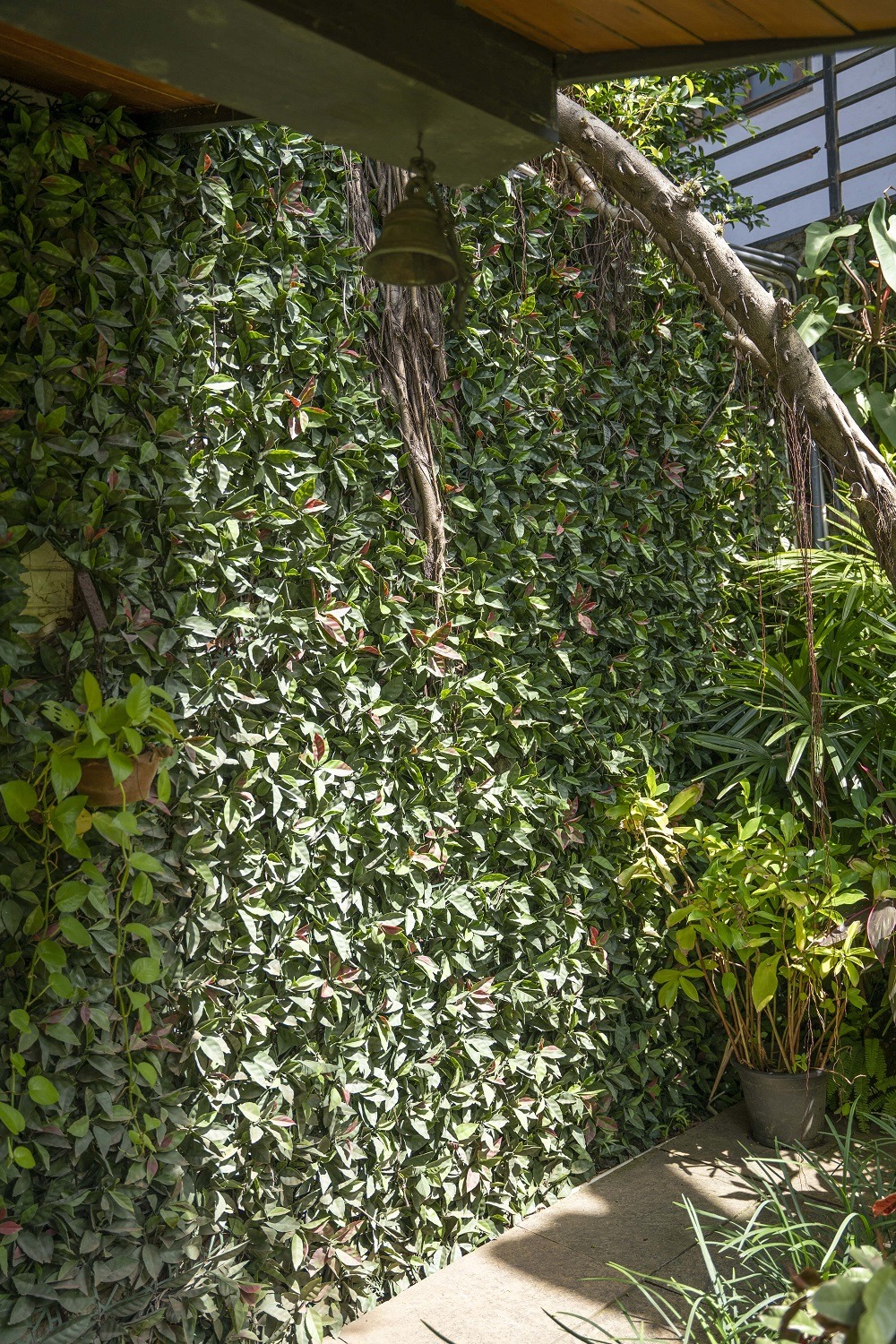 Live wall at a side of garden