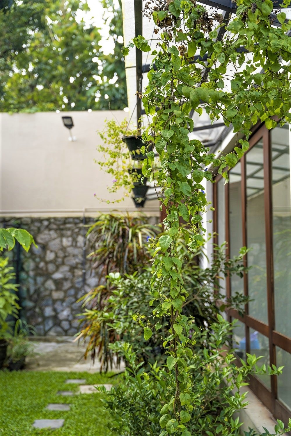 Home garden with hanging plants and a lawn