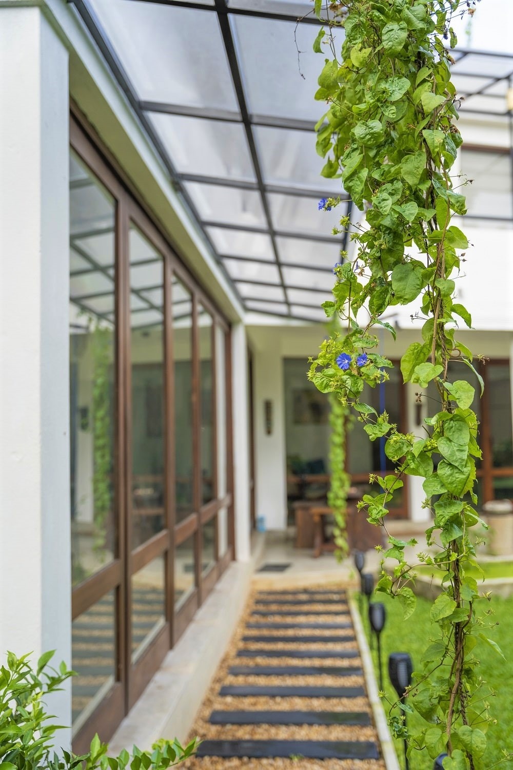 Home garden with hanging plants and a lawn