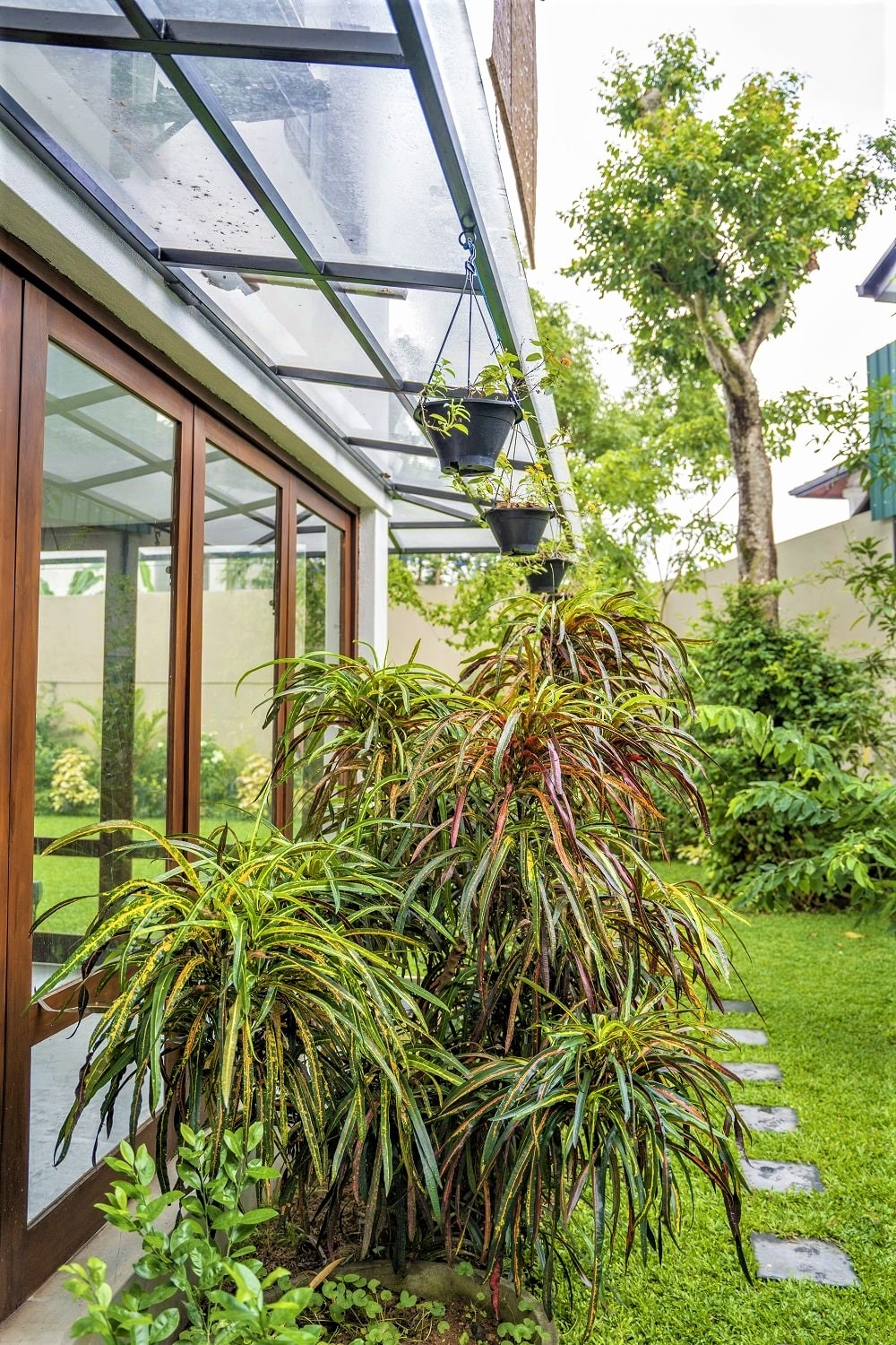 Home garden with big trees, bushes and a lawn