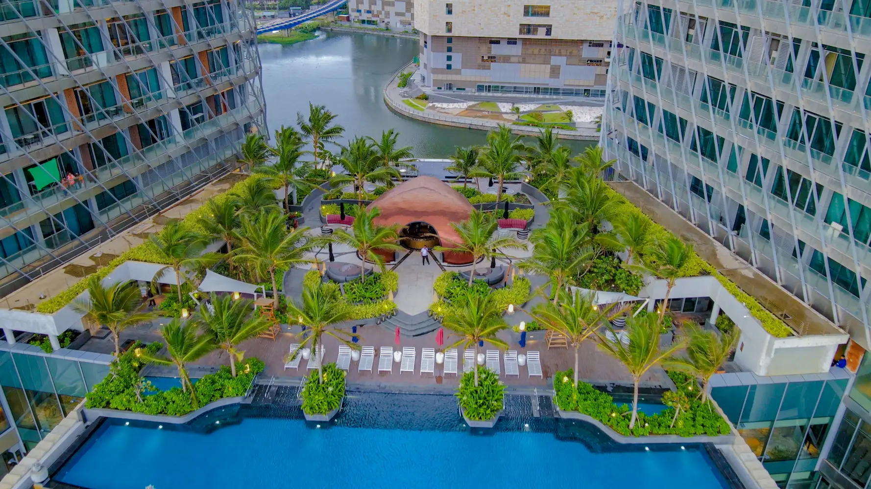 Rooftop landscaping with lush green, adult Coconut palms at ITC Ratnadipa Hotel